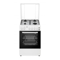 Gas stove HFSC-S50LITGWH HEINNER