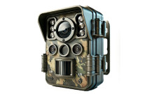 Hunting & trail cameras