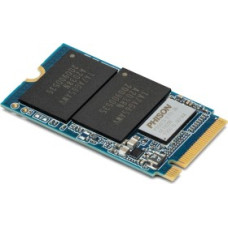 OWC SSD 1TB 2.7 / 1.0 Aura P13 M.2 OWC - Compatible with PCs and Accelsior 1M2