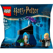 Lego 30677 Harry Potter Draco in the Forbidden Forest, construction toy