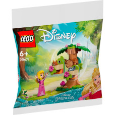 Lego 30671 Disney Princess Aurora's Forest Playground, construction toy