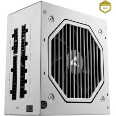 Sharkoon Rebel P20 750 White, PC power supply (white, 1x 12 pin high power connector, 4x PCIe, cable management, 750 watts)
