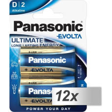 Panasonic 12x2 Panasonic Evolta Mono D LR 20                LR20EGE/2BP