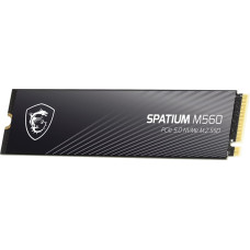 MSI SSD PCIE G5 M.2 NVME 1TB SPAT./M560 S78-440L0F0-P83 MSI