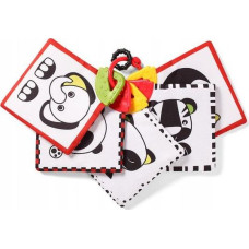 Babyono 781-DREAM EDUCATION C-MORE COLLECTION