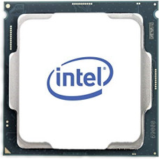 Intel Xeon GO-6252 2100 - Socket 3647 - processor - TRAY - Gold 6252