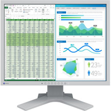 Eizo FlexScan S2134, LED monitor - 21.3 - gray, DisplayPort, DVI-D, VGA