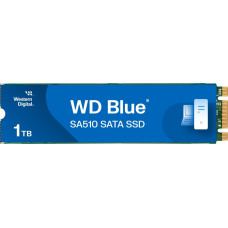 Western Digital SSD WD Blue SA510 1TB M.2 2280 SATA III (WDS100T3B0B)