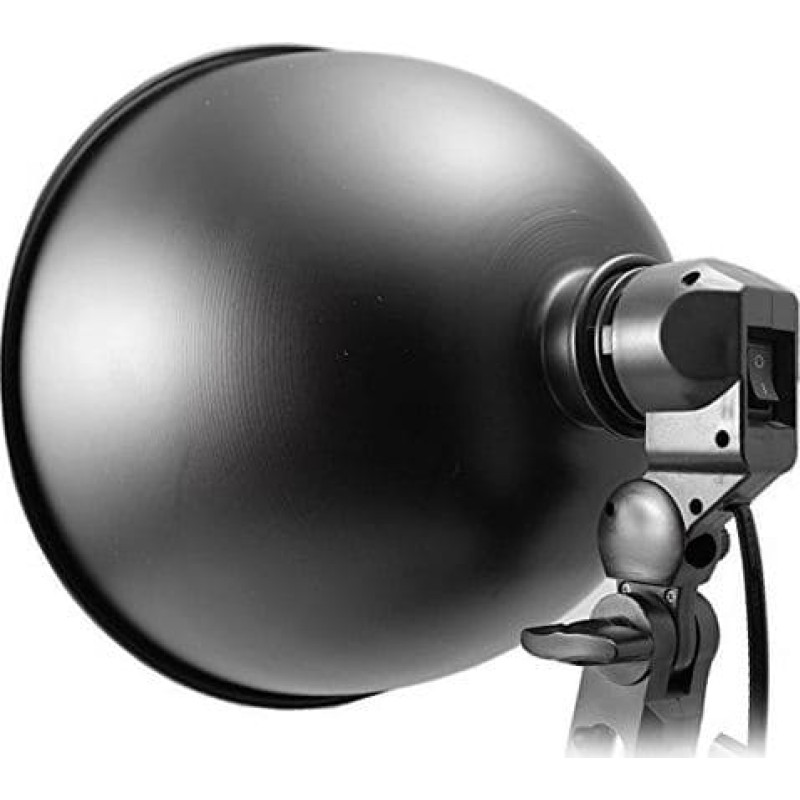 Massa Studio lamp Massa Single holder with switch + Klosz (SB2122) - SB2122