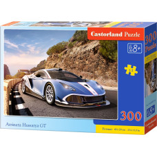 Castorland Puzzle by Arriner Hussary GT 300 elements