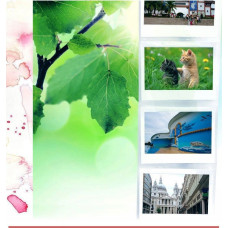 Caiul Wiszący Album Ścienny Na 5 Zdjęć 11 X 8 Cm Wide Photo Album