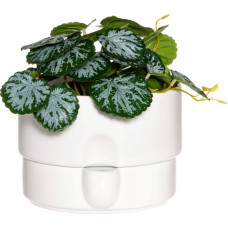 4Living Doniczka z systemem nawadniającym, &Oslash; 19 cm