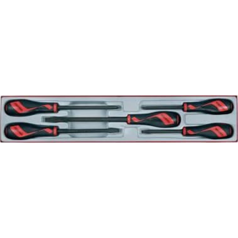 Teng Tools Set of screwdrivers 5pieces (17449-0102)