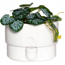 4Living Doniczka z systemem nawadniającym, &Oslash; 21 cm