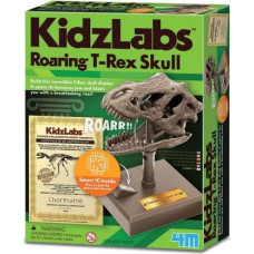 4M Educational kit Dino Skull