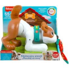 Fisher Price Learning Dog Walk with Me