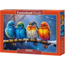 Castor Puzzles 1500 elements Birds Together Warmer