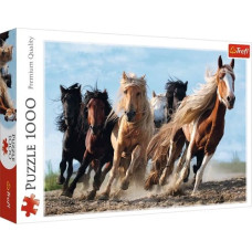 Trefl Puzzles 1000 elements Galloping Horses