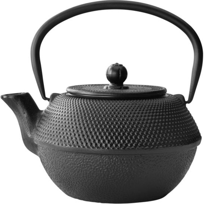 Bredemeijer Teapot Jang 1,1l cast iron black + Filter G002Z