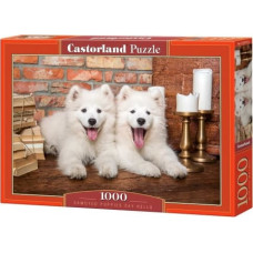 Castor Puzzles 1000 elements Samoyed Puppies say hello