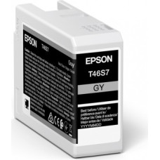 Epson UltraChrome Pro tintes kārtridžs 1 pcs Oriģināls Pelēks