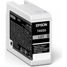 Epson UltraChrome Pro tintes kārtridžs 1 pcs Oriģināls Gaiši Pelēks