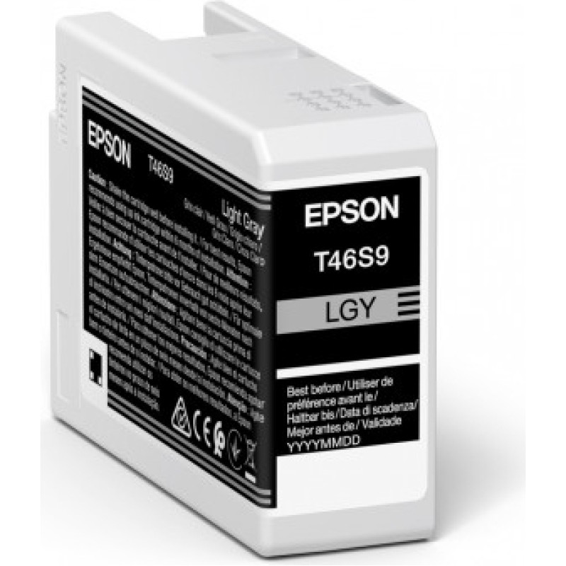 Epson UltraChrome Pro tintes kārtridžs 1 pcs Oriģināls Gaiši Pelēks