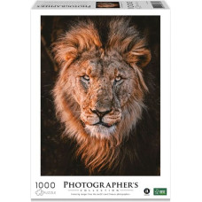 Ambassador Lion Head 1000 Pieces (Donal Boyd)