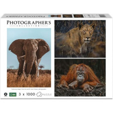 Ambassador Wildlife Eye Contact 3x 1000 Pieces (Donal Boyd)