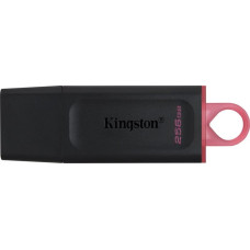 Kingston MEMORY DRIVE FLASH USB3.2/256GB DTX/256GB KINGSTON