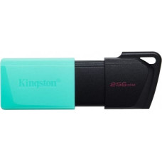 Kingston MEMORY DRIVE FLASH USB3.2/256GB DTXM/256GB KINGSTON