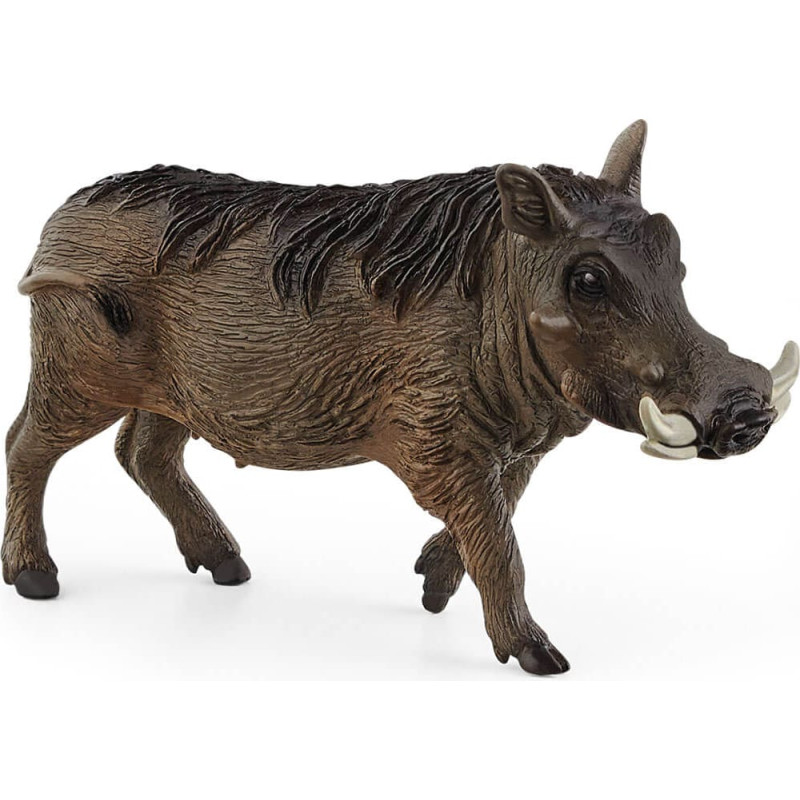 Schleich WILD LIFE Warthog