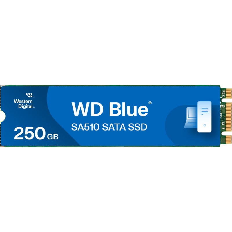 Western Digital SSD|WESTERN DIGITAL|Blue SA510|250GB|M.2|SATA 3.0|Write speed 440 MBytes/sec|Read speed 555 MBytes/sec|2.38mm|TBW 100 TB|MTBF 1750000 hours|WDS250G3B0B