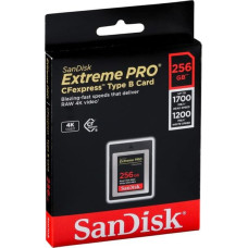 Sandisk MEMORY COMPACT FLASH 256GB/SDCFE-256G-GN4NN SANDISK